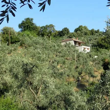 Apartment Tsorni Hill *
