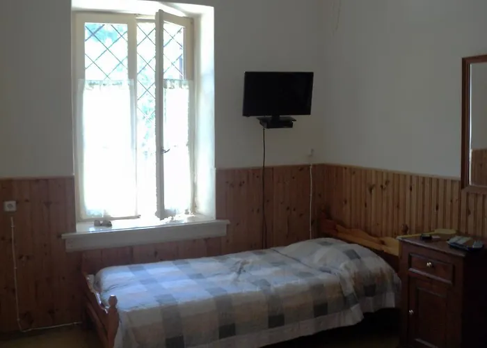 Apartment Tsorni Hill *